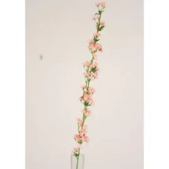 Alpine Squill in Pink Mauve