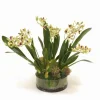 Amethyst Green Vanda Orchid in Low Round Glass