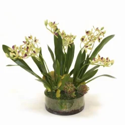 Amethyst Green Vanda Orchid in Low Round Glass