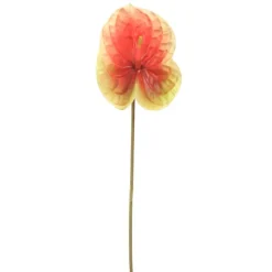 27" Anthurium Stem Red/Green  (Sold in Multiples of 12)