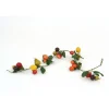 6'Apple/Pear/Pomegranate Garland (Set of 2)