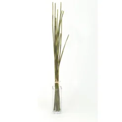 Bamboo Bunch   (Set of 2)