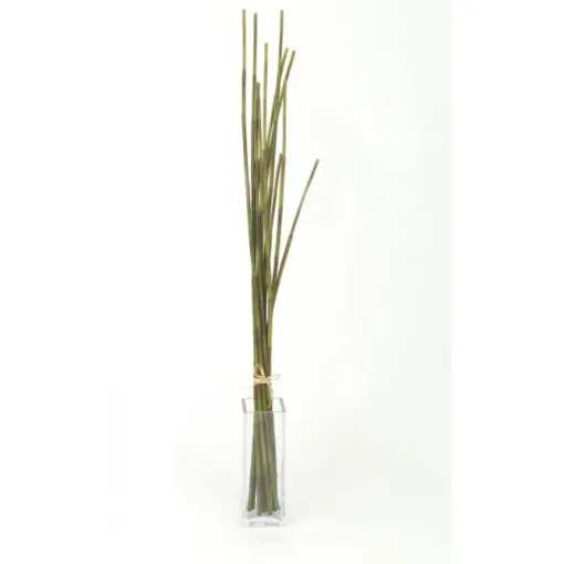 Bamboo Bunch   (Set of 2)