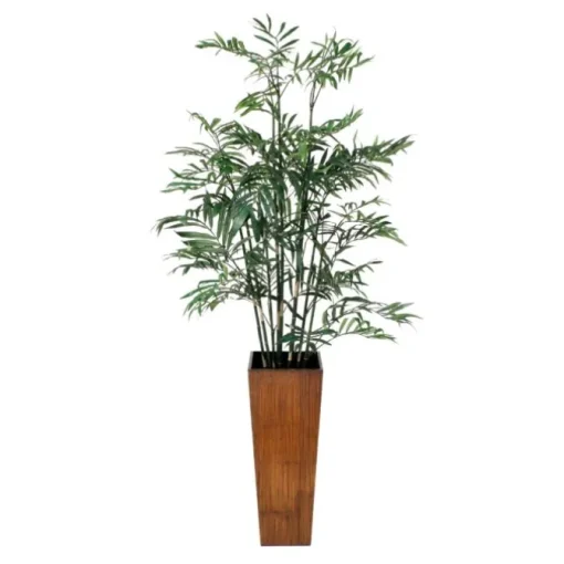 Bamboo in Crushed Bamboo Planter