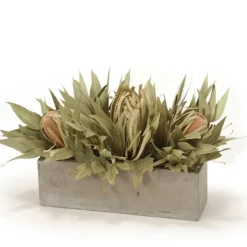 Banksia with Dried Eucalyptus in Concrete Window Box