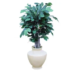 Banyan Tree in Shellish Sand Planter