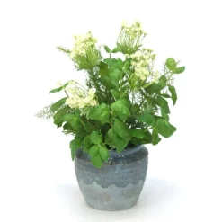 Basil and Safari Pine with Queen Anne Lace in Blue Earthy Pot