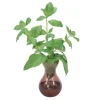 Basil in Purple Bulb Glass Vase (Set of 3)