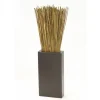 Basil Reeds in Tall Black Vase