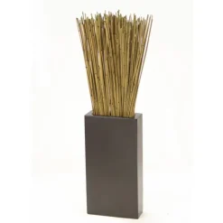 Basil Reeds in Tall Black Vase