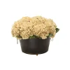 Beige Hydrangea in Black Oval Planter with Gold Trim