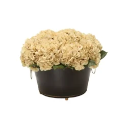 Beige Hydrangea in Black Oval Planter with Gold Trim