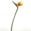 40" Bird of Paradise Stem Orange (Sold in Multiples of 12)