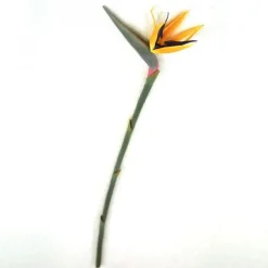 40" Bird of Paradise Stem Orange (Sold in Multiples of 12)