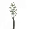 Black Bamboo in Pewter Vase