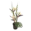 Black Birds of Paradise in Black Ceramic Planter