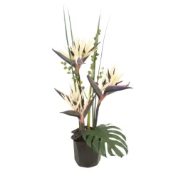Black Birds of Paradise in Black Ceramic Planter