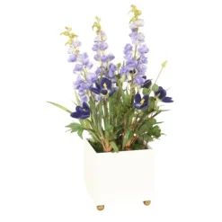 Blue Delphinium with Blue Crocus Plant and Bouganvillea in White Planter