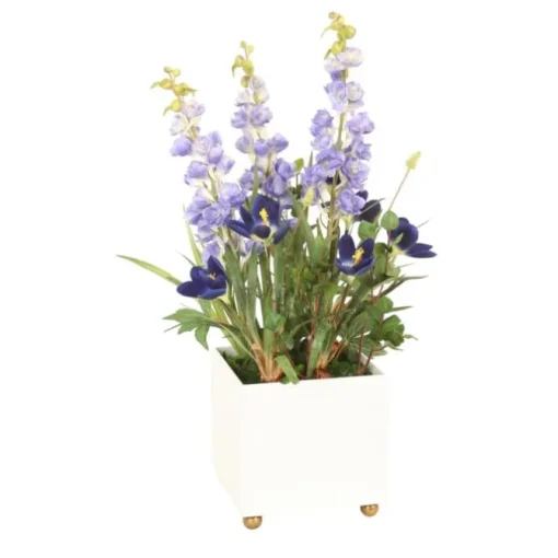 Blue Delphinium with Blue Crocus Plant and Bouganvillea in White Planter