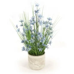 Blue Honeysuckle with Grass