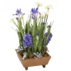 Blue Hyacinths with Blue Iris Garden in Wooden Box