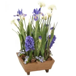 Blue Hyacinths with Blue Iris Garden in Wooden Box