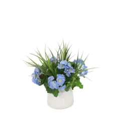 Blue Primrose Mix in White Container