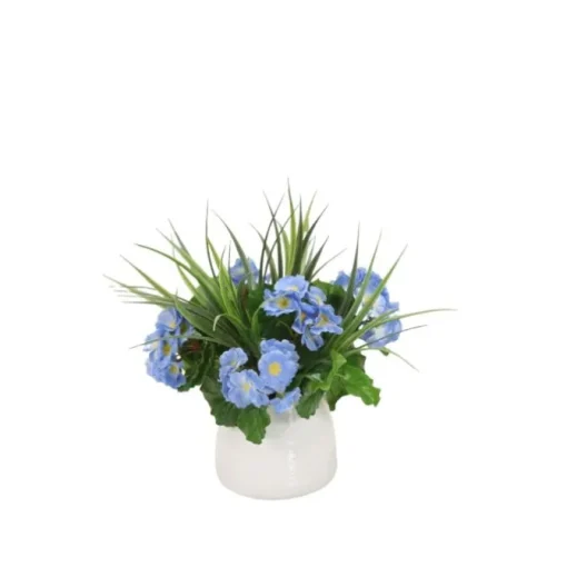 Blue Primrose Mix in White Container