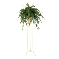 Boston Fern in Beige Vase with Plant Stand