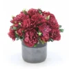 Burgundy Peonies in Two Toned Black Pot