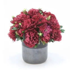 Burgundy Peonies in Two Toned Black Pot