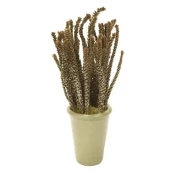 Buxifolia in Green Planter (Set of 2)