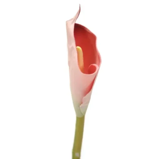 Calla Lily Large - Mauve