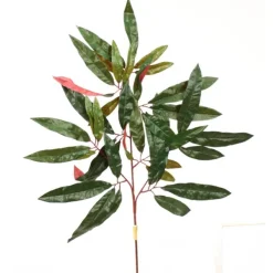 28" Capensia Spray (Sold in Multiples of 12)