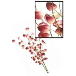 Chinese Lantern  (Sold in Multiples of 12)