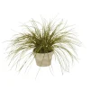 Clay Pot with Olive Grass