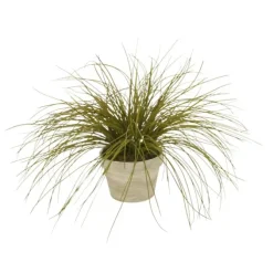 Clay Pot with Olive Grass