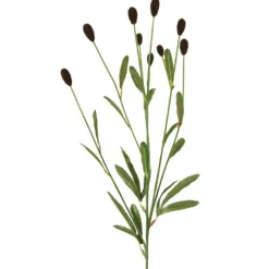 Clover in Dark Brown  (Set of 12)