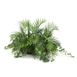 Coconut Palms, Glacier Ivy in Rectangular Black Metal Tray