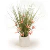 Coral Orchids in White Pot
