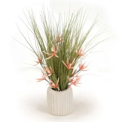 Coral Orchids in White Pot