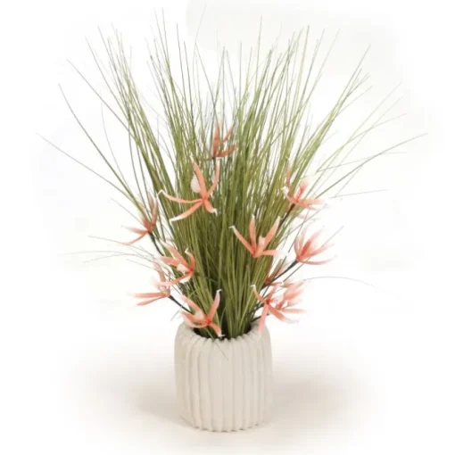 Coral Orchids in White Pot