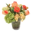 Coral Ranunculas Mixed with Green Hydrangeas in Glass Flower Pot