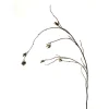 45" Corylus (Monkey Paws) Brown  (Set of 12)