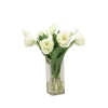 Cream Green Parrot Tulips in Square Vase