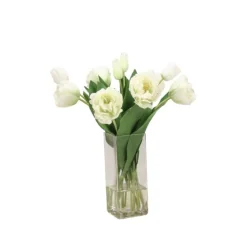 Cream Green Parrot Tulips in Square Vase