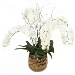 Cream White Phalaenopsis Orchids in Gold Planter