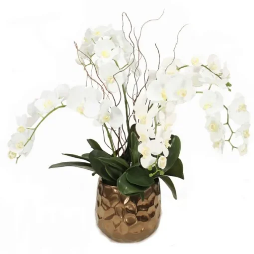 Cream White Phalaenopsis Orchids in Gold Planter
