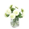 Cream White Ranunculus in Square Vase