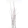 50" Curly Willow Branch in Brown   (Set of 12)